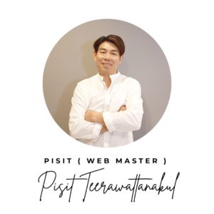 Pisit Web Master รับออกแบบเว็บ ดีไซน์เว็บ